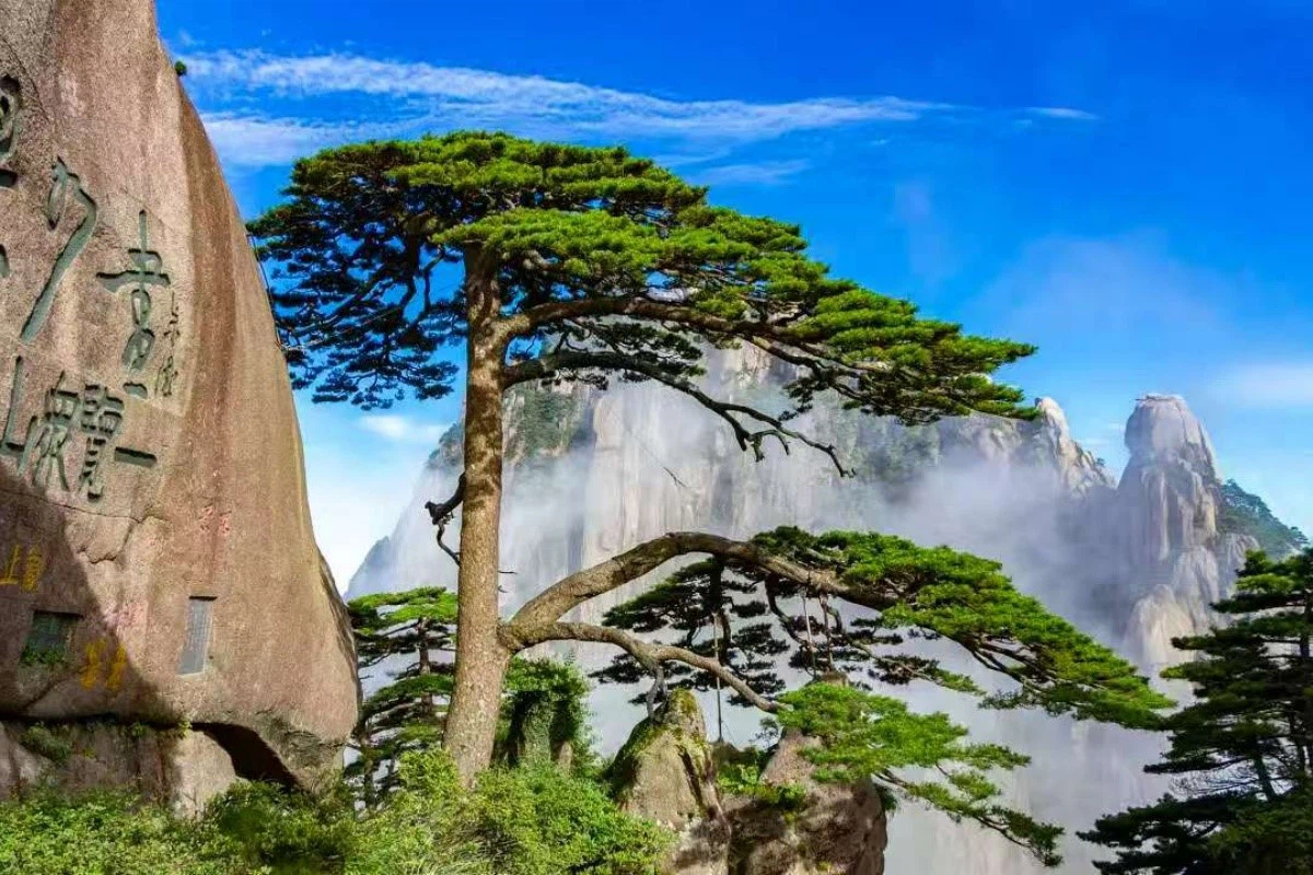 Huangshan Cuisine Museum Experience Huangshan Cuisine Museum Experience